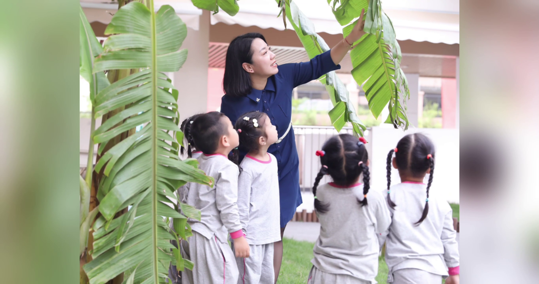 坪山实验.png 图片