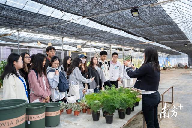 “广州地区高校港澳台学生农耕文化体验营”在华南农业大学举办。