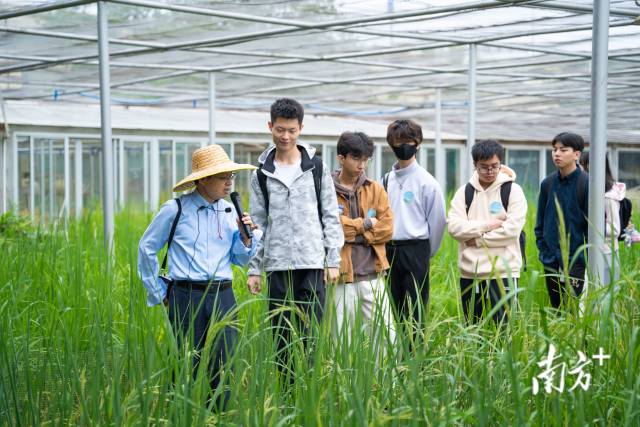 “广州地区高校港澳台学生农耕文化体验营”在华南农业大学举办。