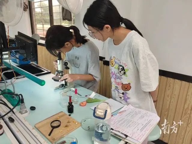 广东二师学生指导阳西县学生做实验。 图片
