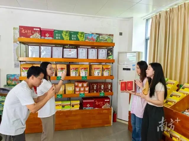 广州大学学生制作短视频销售连樟村的农产品。 图片